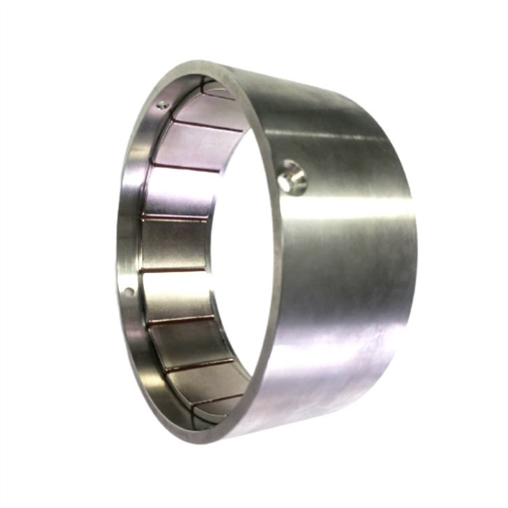 magnet rotor